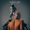 Money Rain - شاهمون
