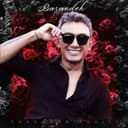 برنده - شادمهر عقیلی